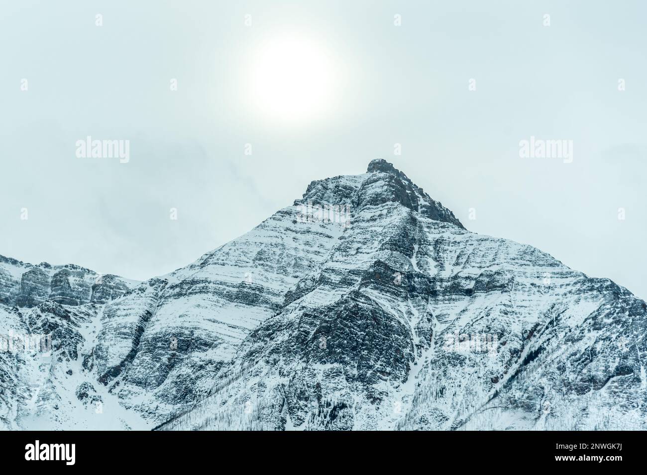 Im Winter bietet Alberta eine atemberaubende Aussicht auf die schneebedeckte Landschaft. Stockfoto