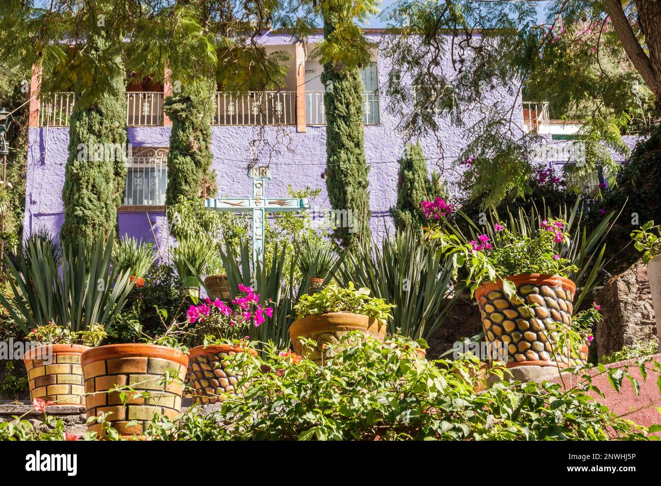 San Miguel de Allende Guanajuato Mexiko, historisches Zentrum, Wohnhäuser Residenzen, Garten, Außenfassade, Gebäude Stockfoto