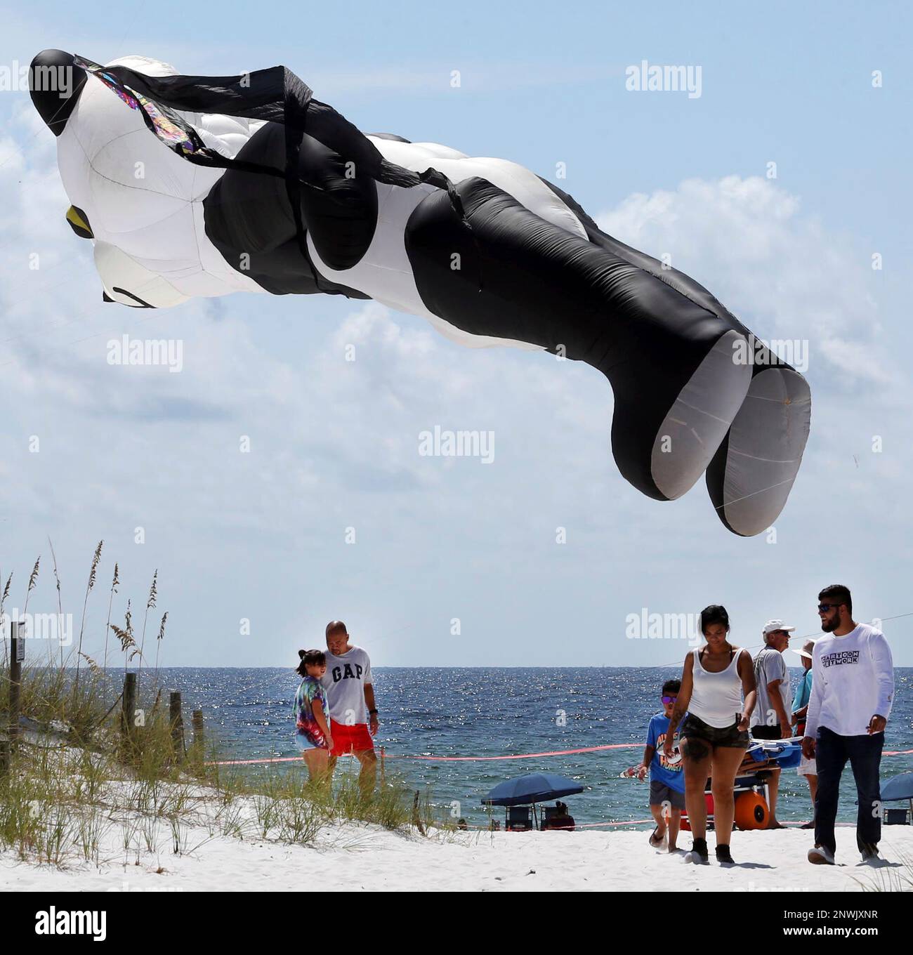 An 80foot panda kite floats seemingly unnoticed above people walking