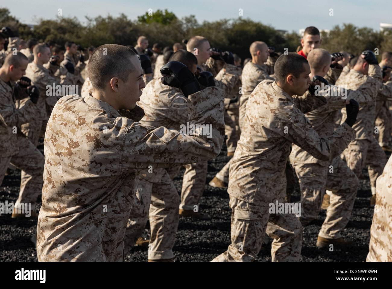 USA Marinekorps rekrutieren bei Alpha Company, 1. Recruit Training Battalion, führen während der Martial Arts Program (MCMAP) des Marinekorps am Marine Corps Recruit Depot San Diego, 18. Januar 2023, einen oberen Schnitt durch. Die Rekruten erlernten verschiedene Techniken, um sich für ihren Bräunungsgürtel in MCMAP zu qualifizieren. Stockfoto