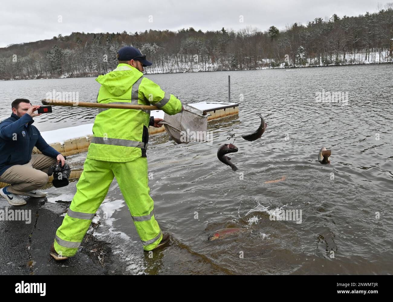 Wyoming, Usa. 28. Februar 2023. Mitglieder der Fisch- und bootskommission lassen Forellen mit einem Netz in den See frei. Die Pennsylvania Fish and Boat commission befischt Bäche und Seen für die Fangsaison. Sie lagern mit einem Truck mit einem Tank, in dem Fische aus einer Brutanlage, Schläuche, Netze und Eimer aufbewahrt werden. Heute haben sie den Frances Slouch State Park mit Regenbogen, goldenen und normalen Forellen bestückt. Kredit: SOPA Images Limited/Alamy Live News Stockfoto