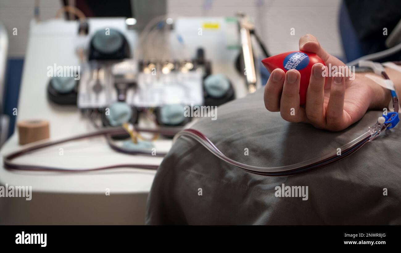 Airman 1. Class Mason Amadio, 8. Expeditionary Airlift Squadron Waffensysteme Controller, hält einen Stressball während der Blutplättchenspende auf der Al Udeid Air Base, Katar, 24. Januar 2023. Die Apherese ist eine Technologie, die rote Blutkörperchen, weiße Blutkörperchen, Blutplättchen und Plasma durch Zentrifugation trennt. Mit sterilen Geräten leitet der Techniker die Thrombozyten in einen Entnahmebeutel, während der Rest des Blutes an den Spender zurückgegeben oder entsorgt wird. Stockfoto