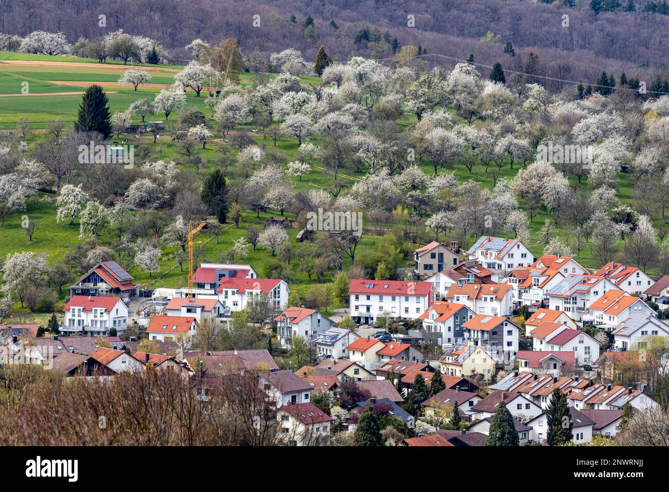Gebäudebereich mit Kran und neuen Wohngebäuden, Wohngebiet am Rand der Stadt Neuffen am Fuße der Schwäbischen Alb Stockfoto
