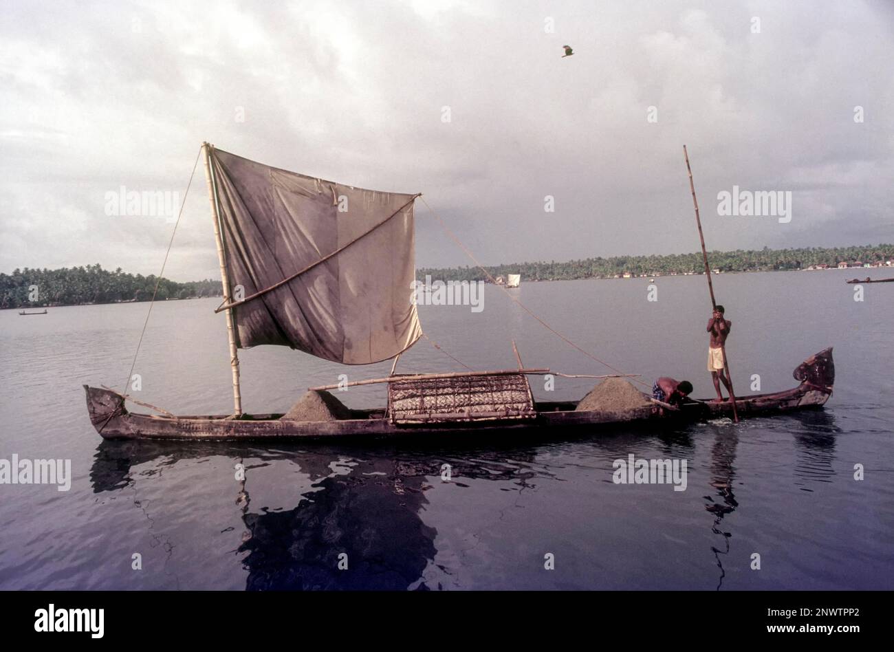 Segeldhow, eine Delikatesse harter persischer Matrosen in Kollam, Kerala, Indien, Asien Stockfoto