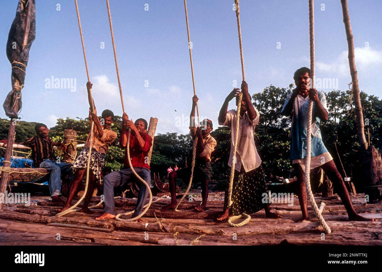 Betrieb der chinesischen Fischernetze oder Cheena vala in Fort Kochi oder Cochin, Kerala, Indien, Asien Stockfoto