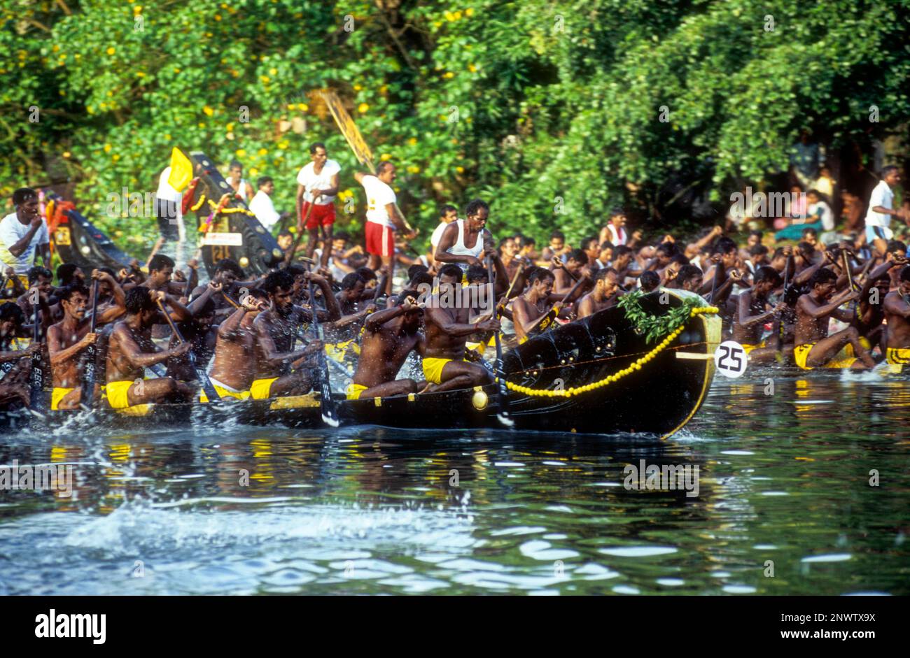 Snake Boat Chundan Vallam Racing in Payippad bei Haripad, Kerala, Südindien, Indien, Asien Stockfoto