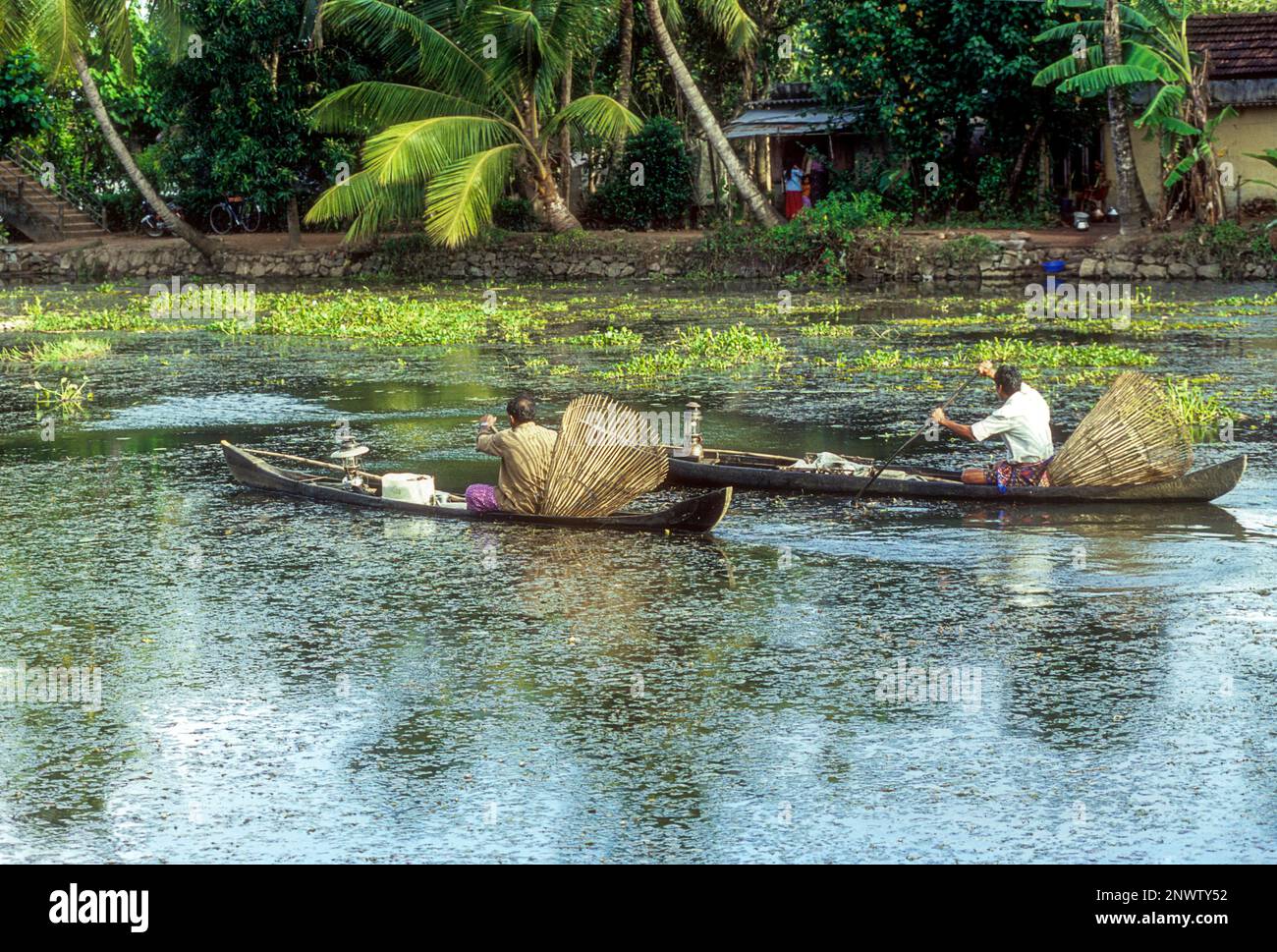 Angler mit Bambusfischerkörben, die in den Nebengewässern von Kuttanad, Kerala, Südindien, Indien und Asien fischen Stockfoto