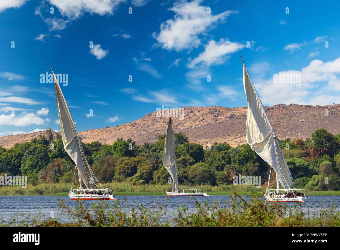 Wunderschöne Natur am Nil in Assuan, Ägypten Stockfoto
