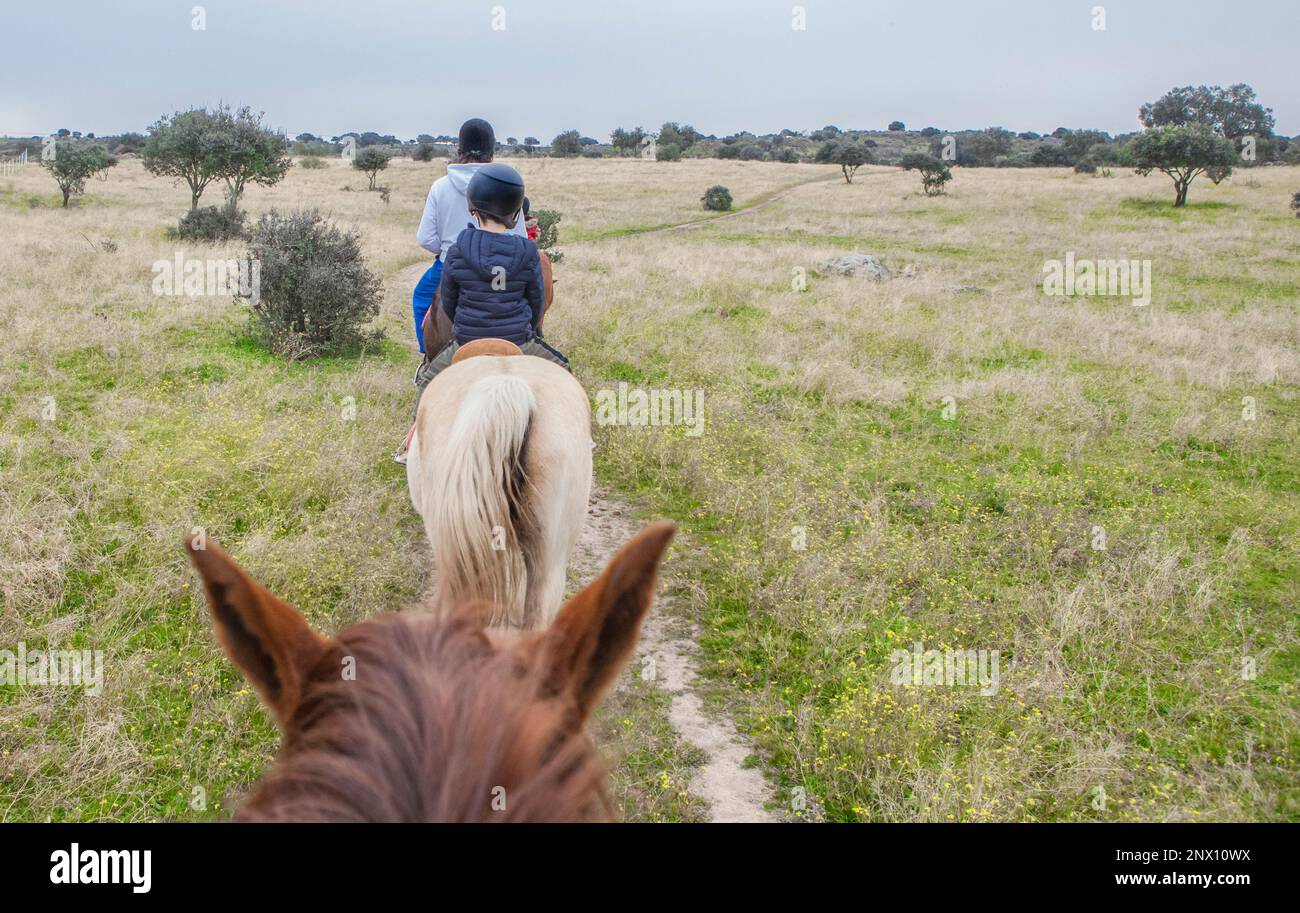 Reitstrecke durch Dehesa Contryside. Szene vom Pferd aus gesehen Stockfoto