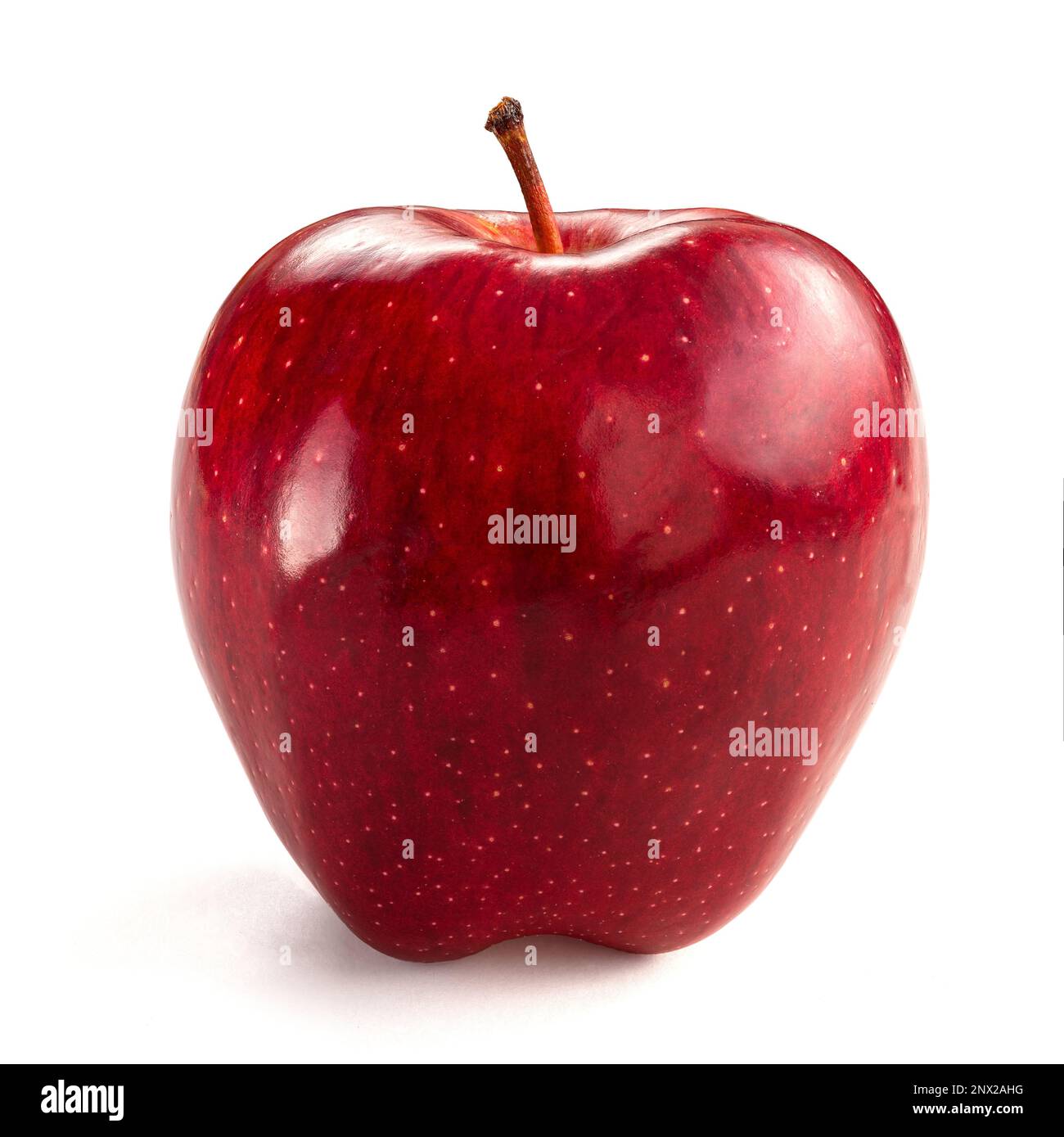 Ein roter köstlicher Apfel, isoliert auf weißem Hintergrund Stockfoto