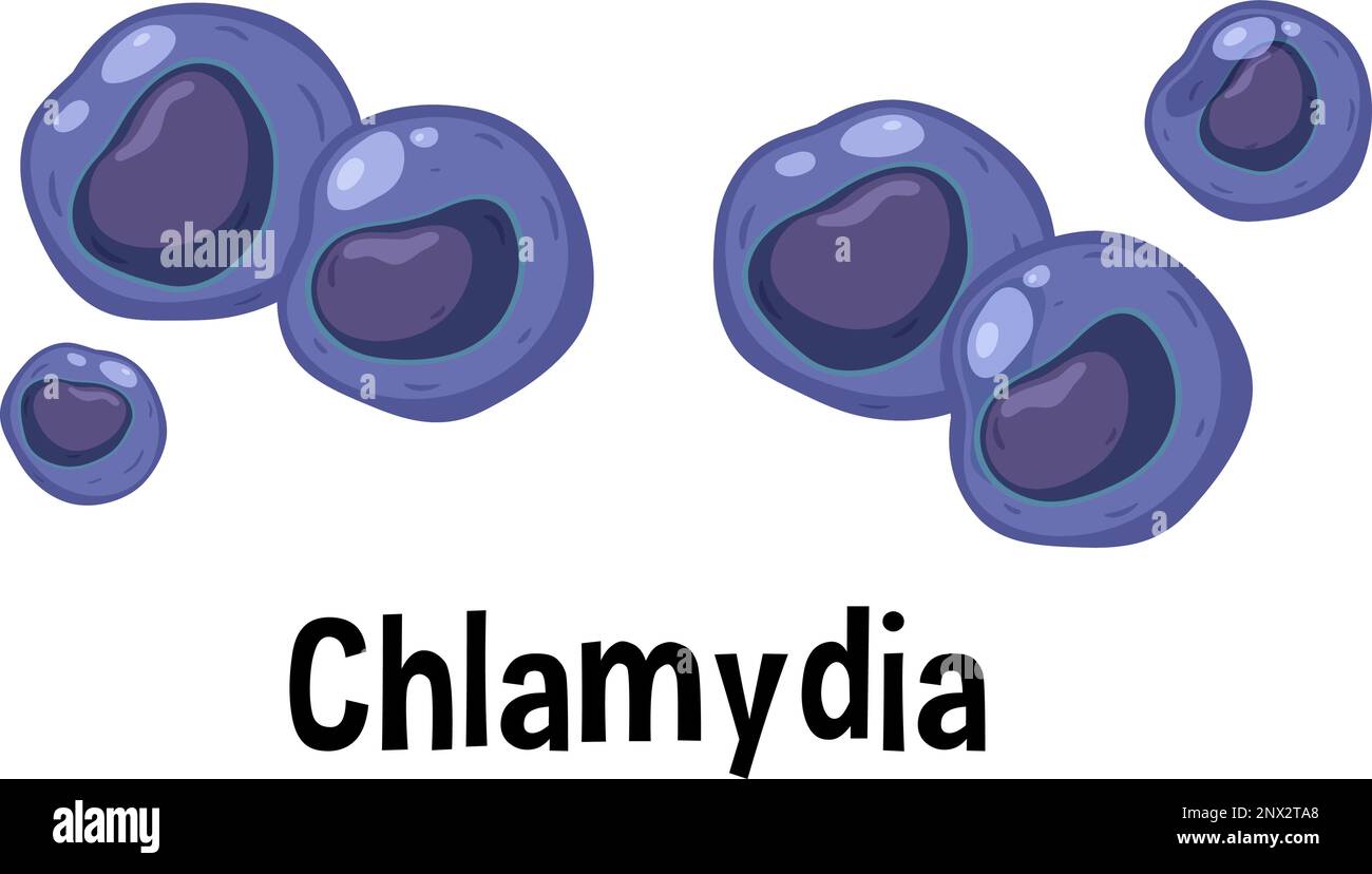 Chlamydien-Virus mit Text Illustration Stock Vektor