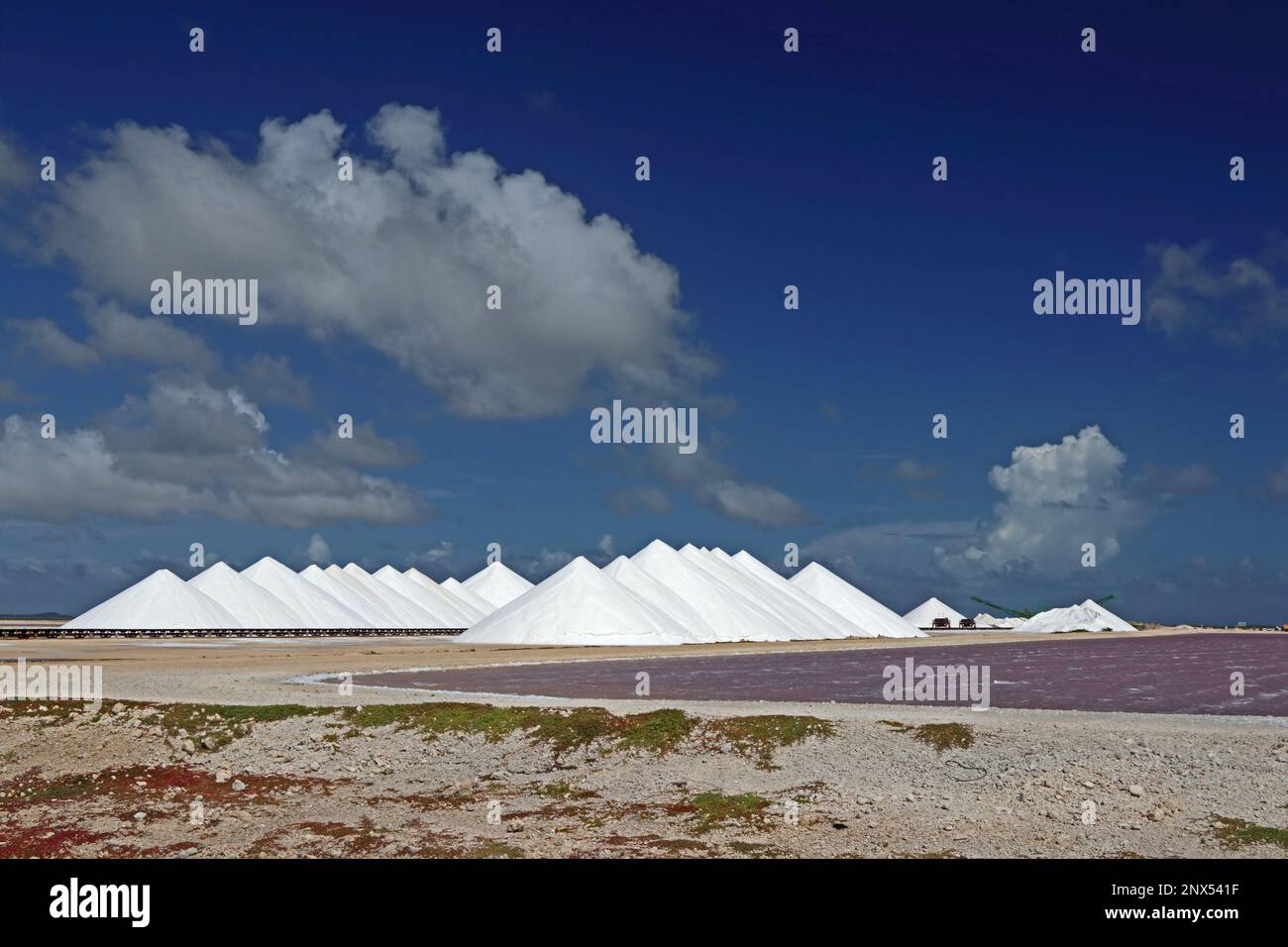 Ein Haufen weißes Meersalz, Bonaire Stockfoto