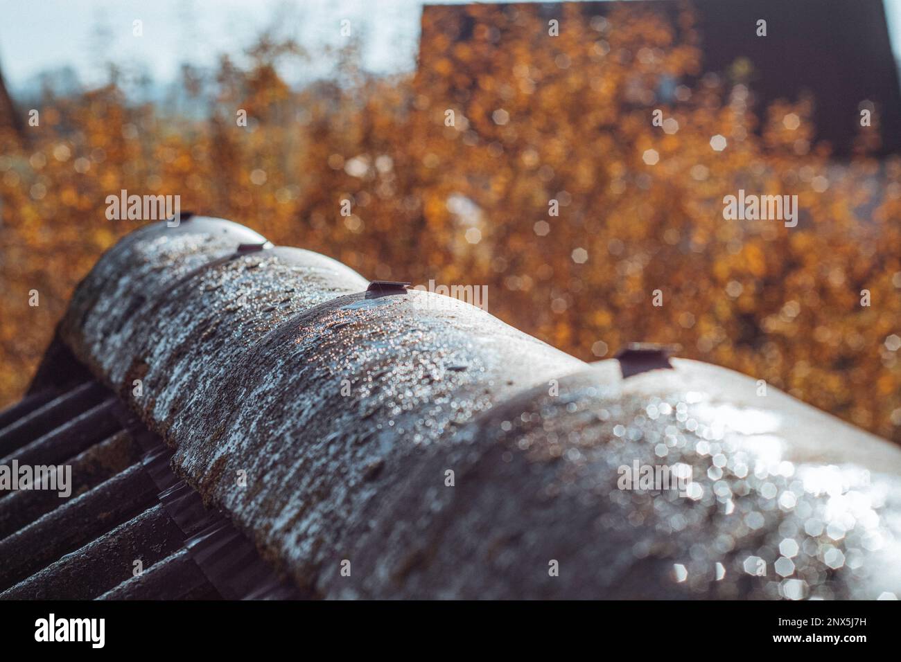 Tau fällt im Herbst auf das Dach Stockfoto