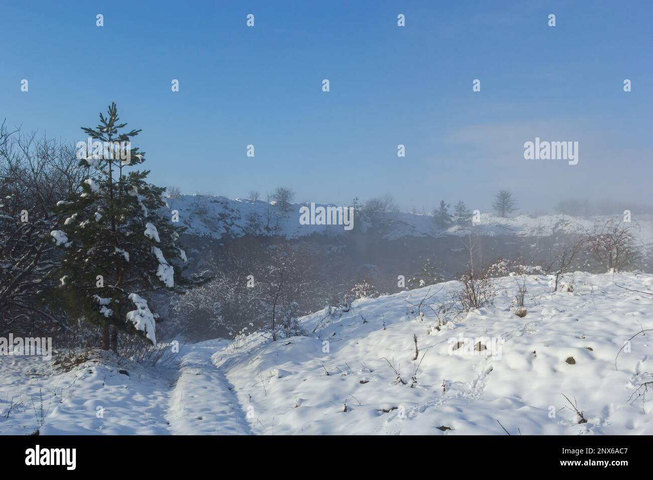 Winter verschneite frostige Landschaft. Der Wald ist schneebedeckt. Frost und Nebel im Park. Stockfoto