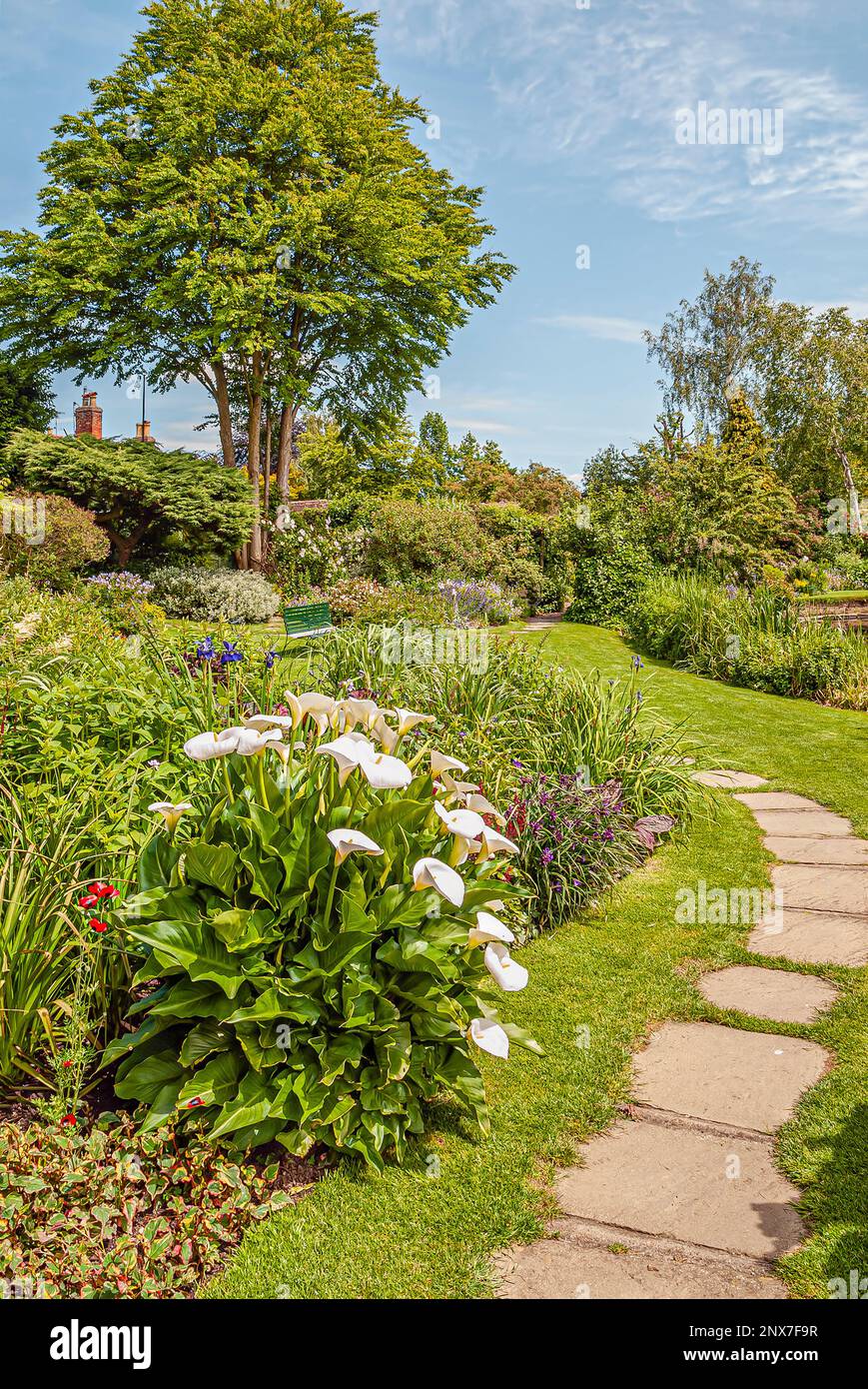 Mill Garden direkt unter dem Caesars Tower of Warwick Castle in Warwick, einer mittelalterlichen Grafschaftsstadt Warwickshire, England. | Mill Garden in Warwick einer Stockfoto