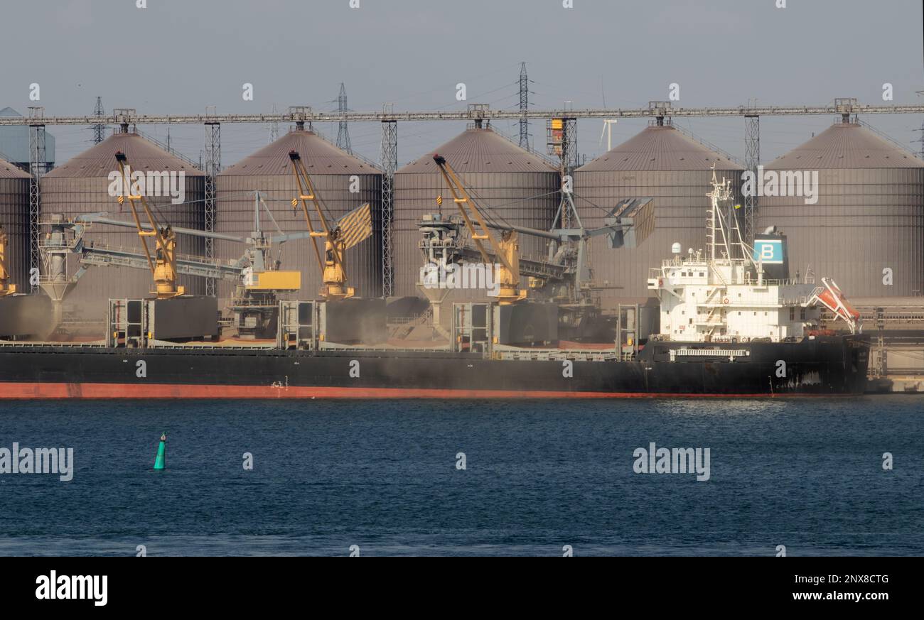 ODESSA, UKRAINE - 09. August 2021: Automatisches Verladen von Korn in Frachtschiff-Laderäume im Seehafen aus Getreidesilos. Bulkfrachtbrötchen Stockfoto