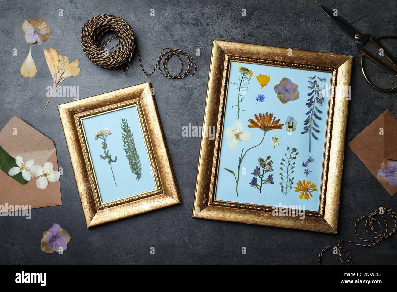 Rahmen mit gepressten getrockneten Blumen und Pflanzen auf schwarzem Tisch, flach liegend. Wunderschönes Herbarium Stockfoto