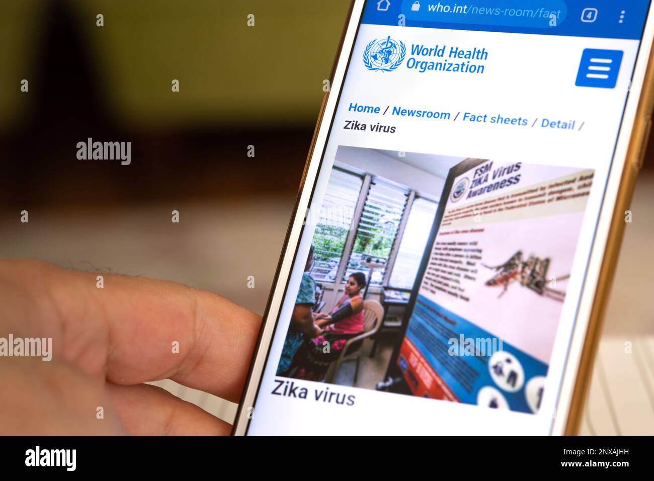 Eine Hand hält ein Mobiltelefon. Die Website der Weltgesundheitsorganisation ist auf dem Mobiltelefon zugänglich. Bild des Zika-Virus auf der WEBSITE DER WHO. Stockfoto