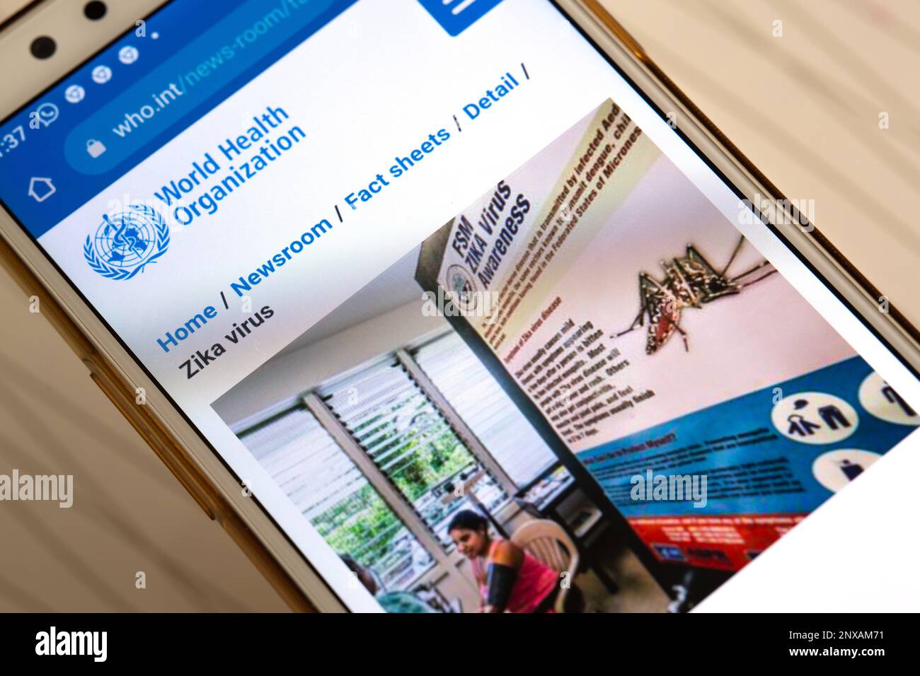 Die Website der Weltgesundheitsorganisation ist auf dem Mobiltelefon zugänglich. Bild des Zika-Virus auf der WEBSITE DER WHO. Stockfoto