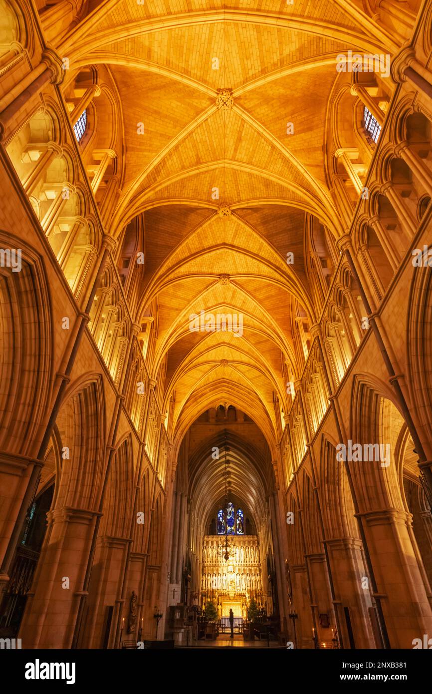 England, London, Southwark, Innenansicht der Southwark Kathedrale mit Gewölbedecke Stockfoto