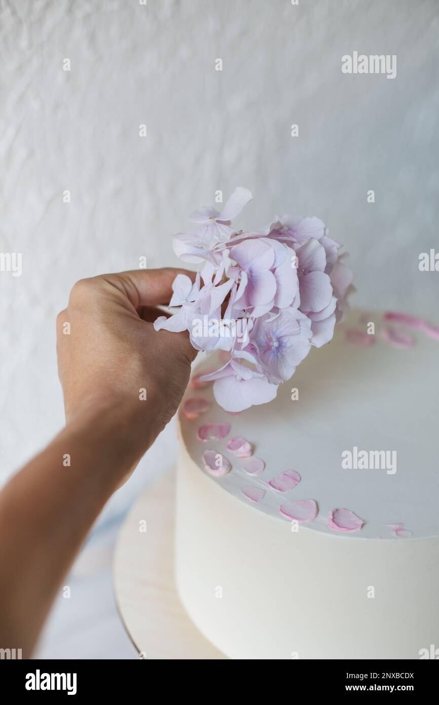 Nahaufnahme einer Frau, die einen Kuchen mit rosa Hortensien dekoriert Stockfoto