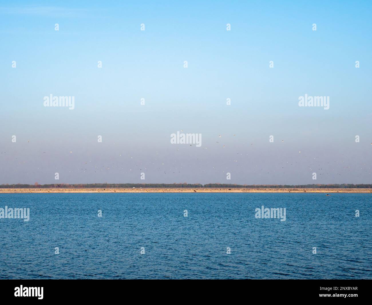 Ein großer Vogelschwarm, der über der Kiew-Meeresspieße fliegt, ruhiges blaues Wasser und blauer wolkenloser Himmel, schmaler Uferstreifen am Horizont. Stockfoto