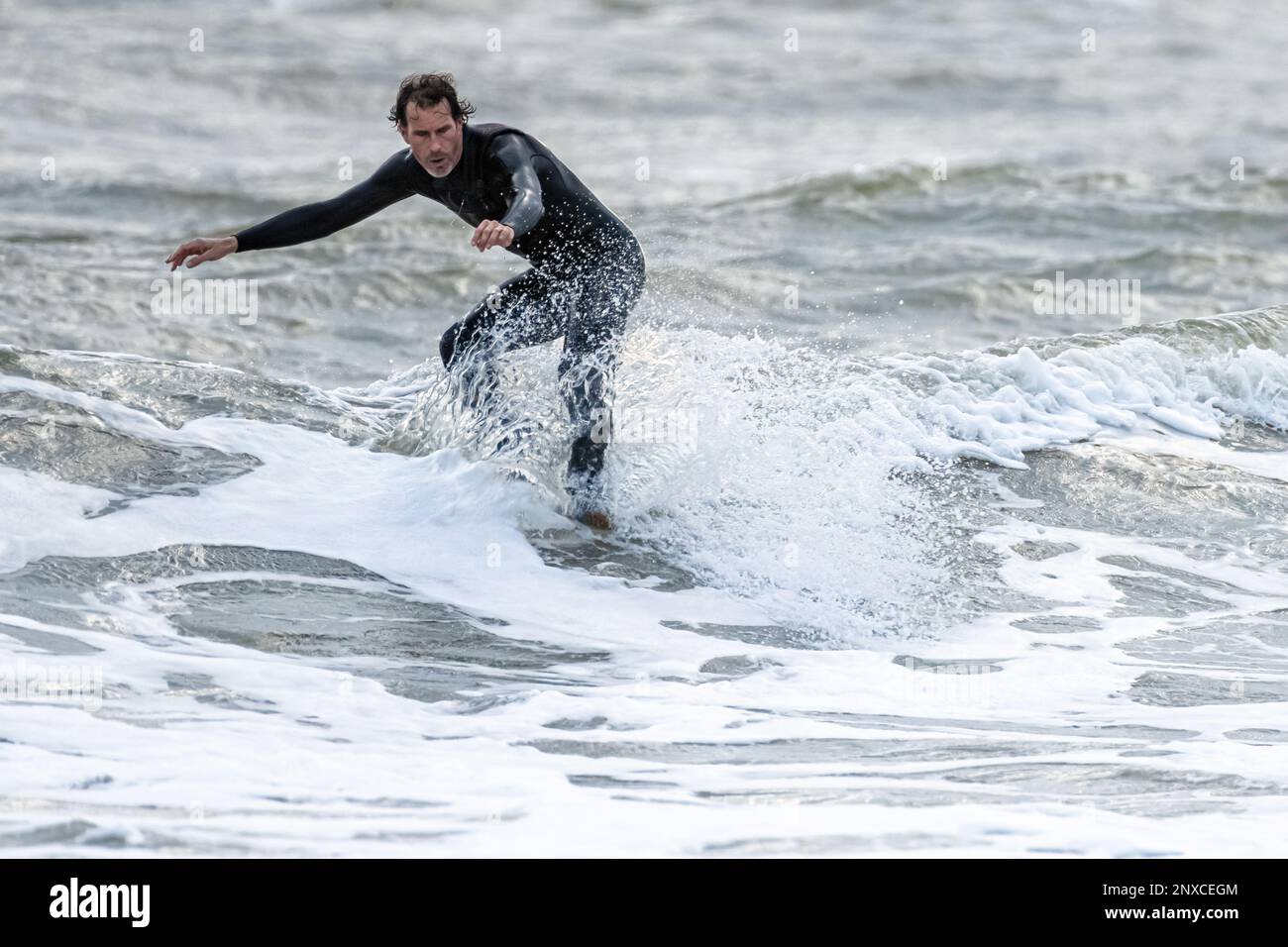 Florida Surfer reitet auf einer kleinen Winterwelle am Jacksonville Beach auf der Nase seines Surfbretts. (USA) Stockfoto