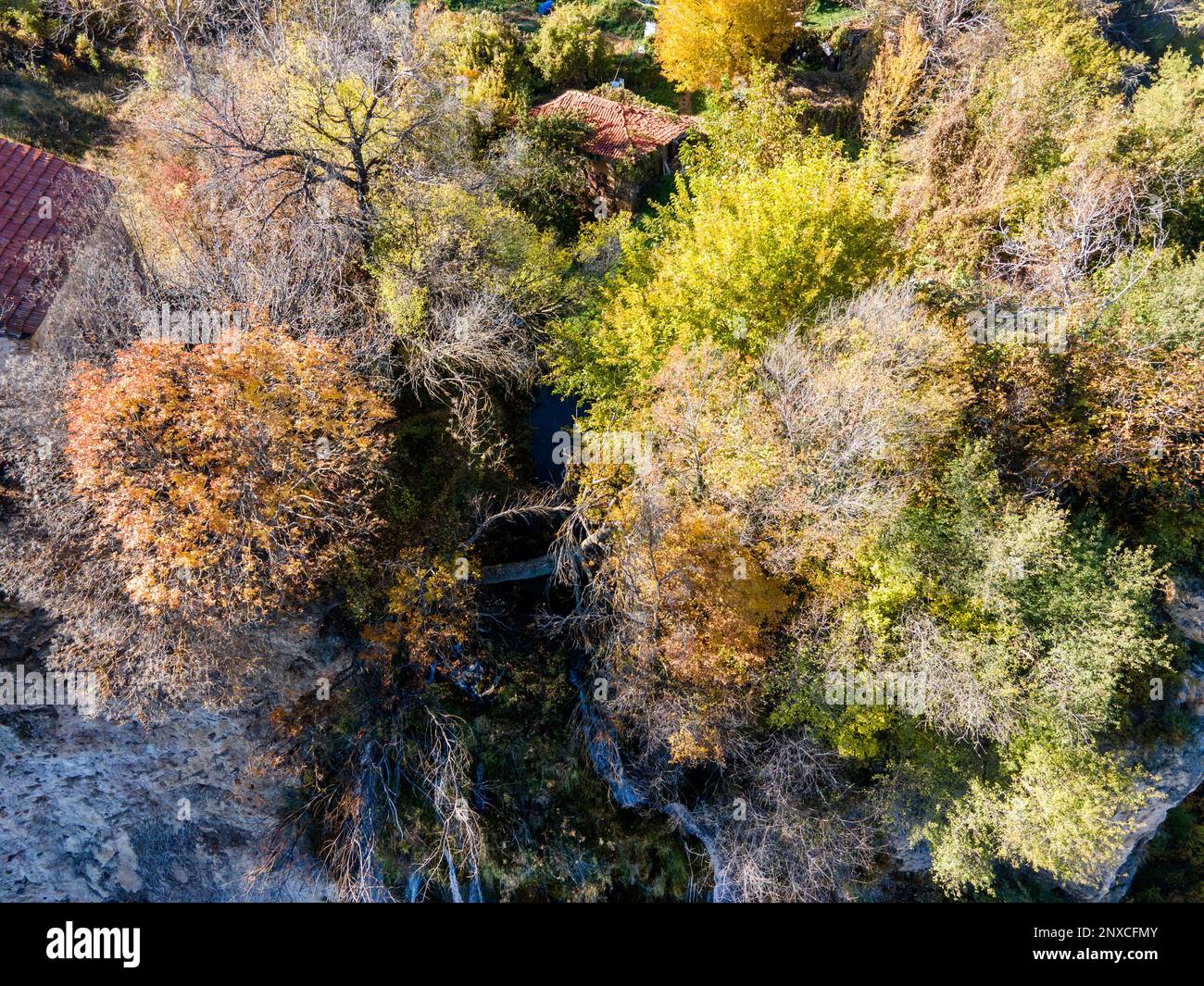 Luftaufnahme vom Herbst des Polska Skakavitsa Wasserfalls am Berg Zemen, Region Kyustendil, Bulgarien Stockfoto