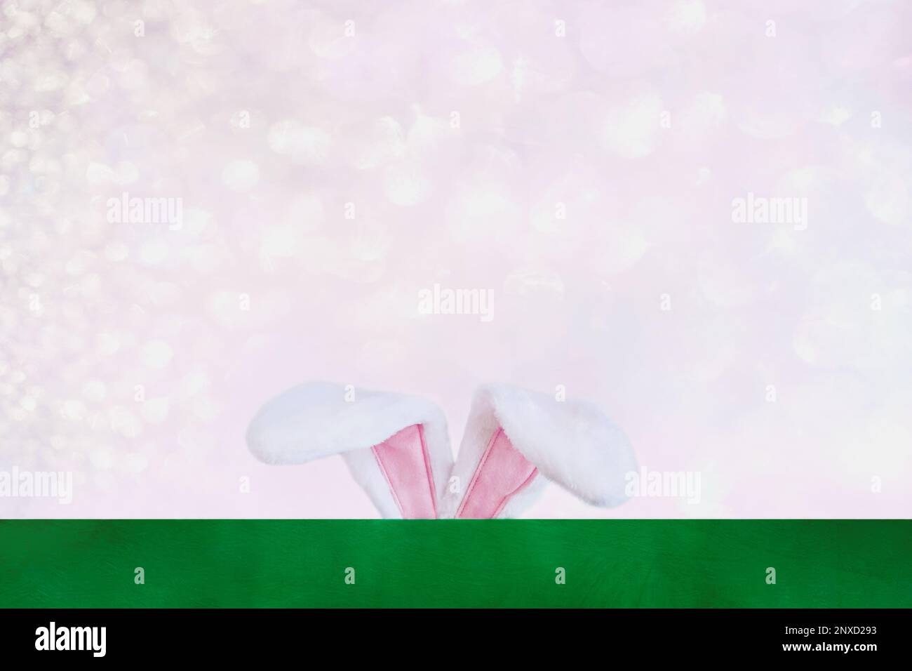 Osterhase mit niedlichen Hasenohren über einem pastellrosa Bokeh-Himmel hinter grünem Hintergrund mit Platz für Kopien. Stockfoto
