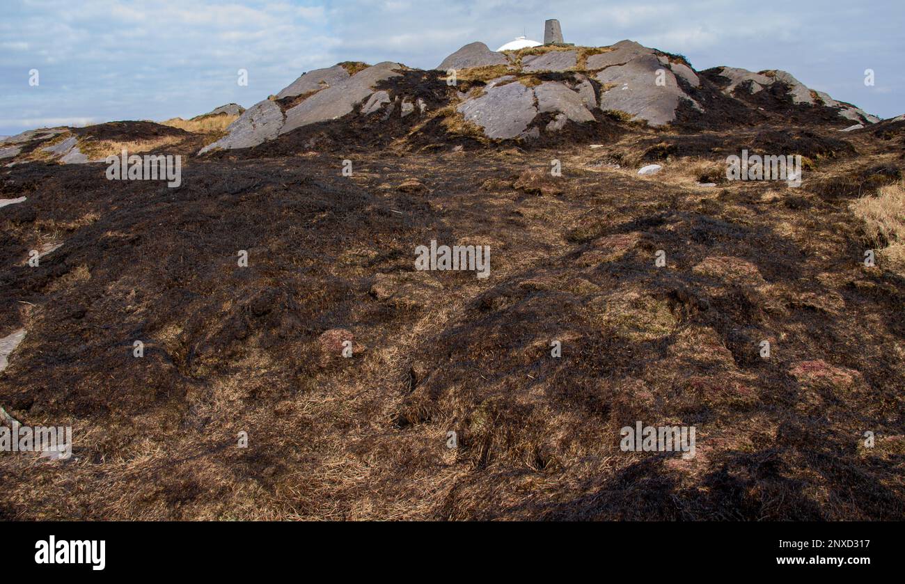 Mount Gabriel West Cork Irland verbrannte die Erde, nachdem Gorse Fire die Bergvegetation verbrannte Stockfoto