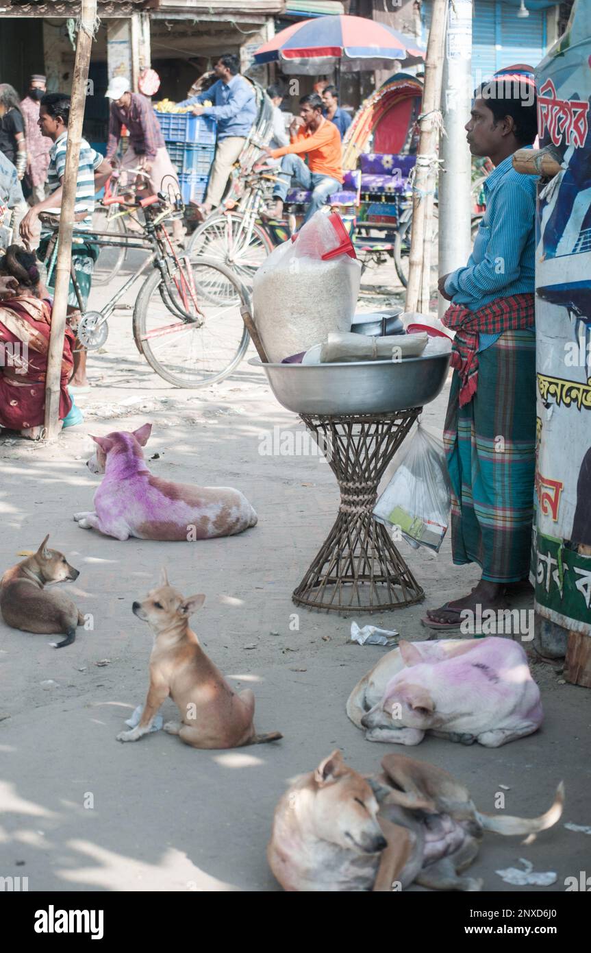 Das größte denkmalgeschützte Gebäude in Dhaka, Bangladesch, ist bekannt als „Ahsan Manzil“ Stockfoto