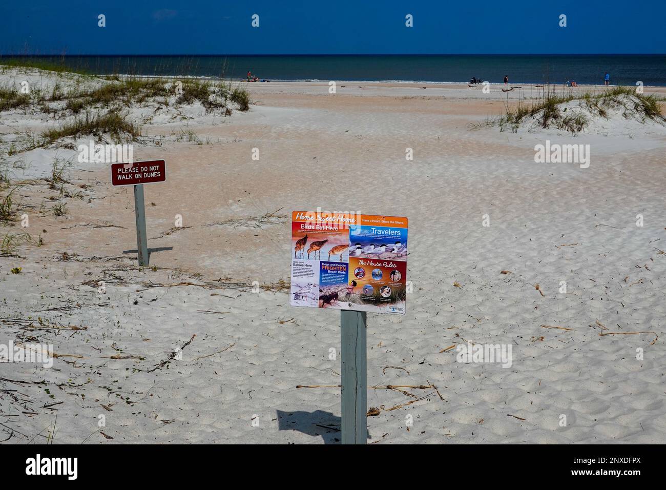 Hinweisschilder zum Schutz von Küstenvögeln und Stranddünen, Anastasia State Park, St. Augustine, Florida, USA. Stockfoto