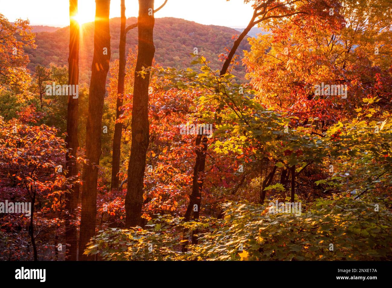 Farbenfrohe Herbstlaub bei Sonnenaufgang in den Blue Ridge Mountains im Norden von Georgia am Big Canoe. (USA) Stockfoto