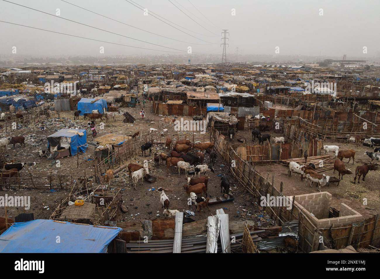 Nicolas Remene / Le Pictorium - Vertreibung in Mali: Binnenvertriebene - 18/2/2021 - Mali / Bezirk Bamako / Bamako - Luftaufnahme, Stockfoto