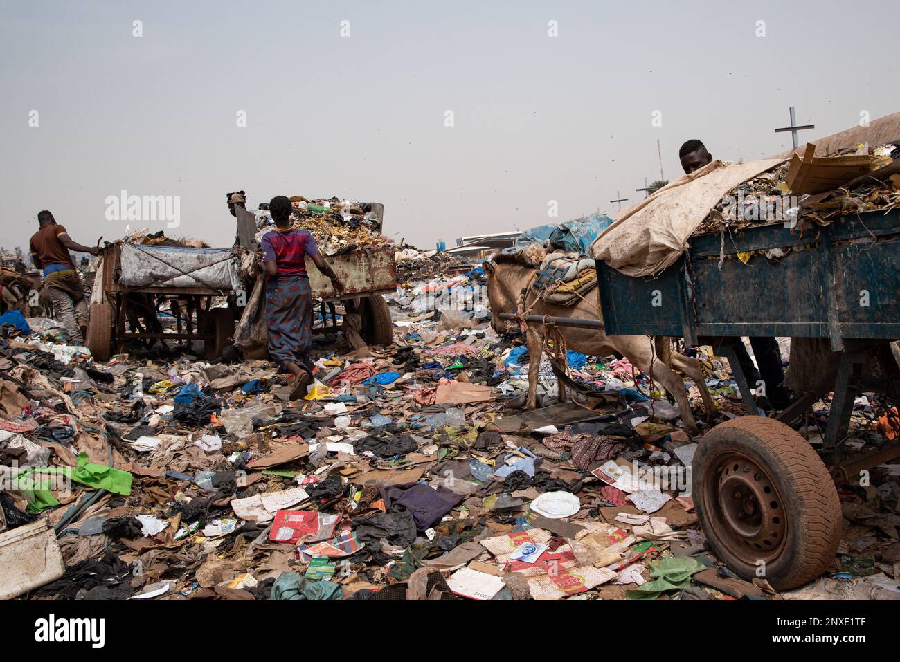 Nicolas Remene / Le Pictorium - Bamako - Mali: Urbanisierung, Entwicklung und Klimawandel - 19/2/2021 - Mali / Bamako District / Bamako - Hund Stockfoto