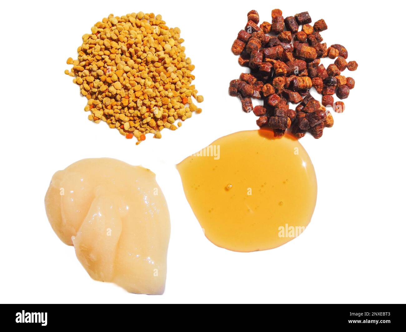 Polyflora rohe Bienenpollen, Bienenbrot, Rapshonig und Polyflora-Honig. Imkereikonzept Stockfoto