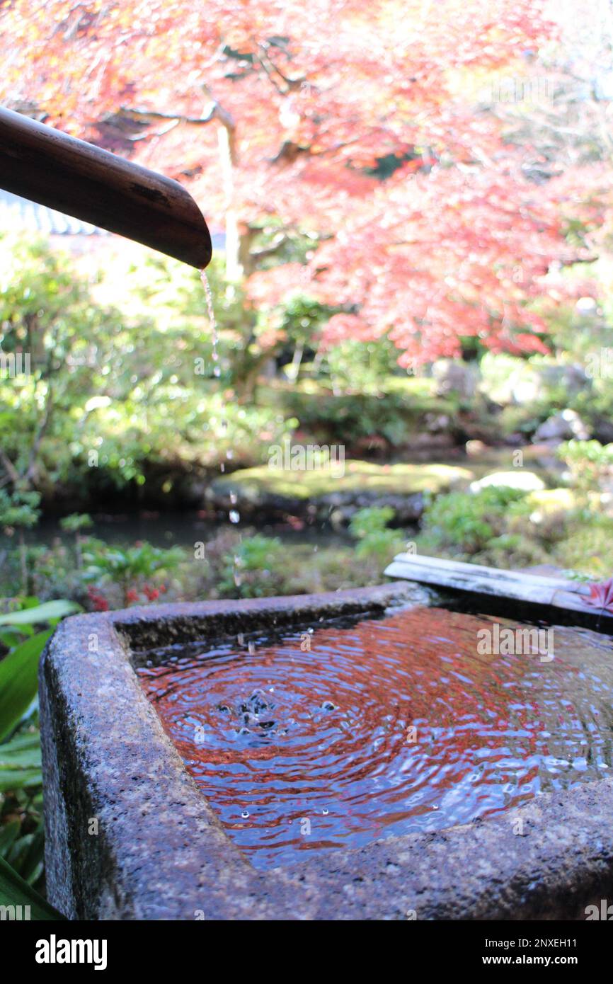 Herbstblätter und eine traditionelle Wasserversorgung im Garten des Jissoin-Tempels, Kyoto, Japan Stockfoto