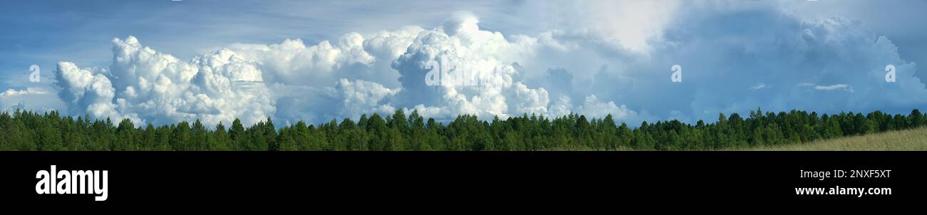 Meteorologie. Ein unruhiger Himmel, ein Donner über einem Waldgebiet ist in der Entwicklung. Starke Cumulonimbuswolken auf der linken Seite steigen auf eine große Höhe und Ra Stockfoto