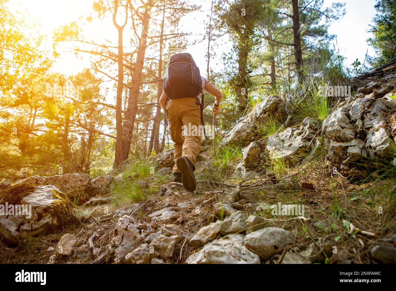 Waldwanderung und Camping-Abenteuer Stockfoto
