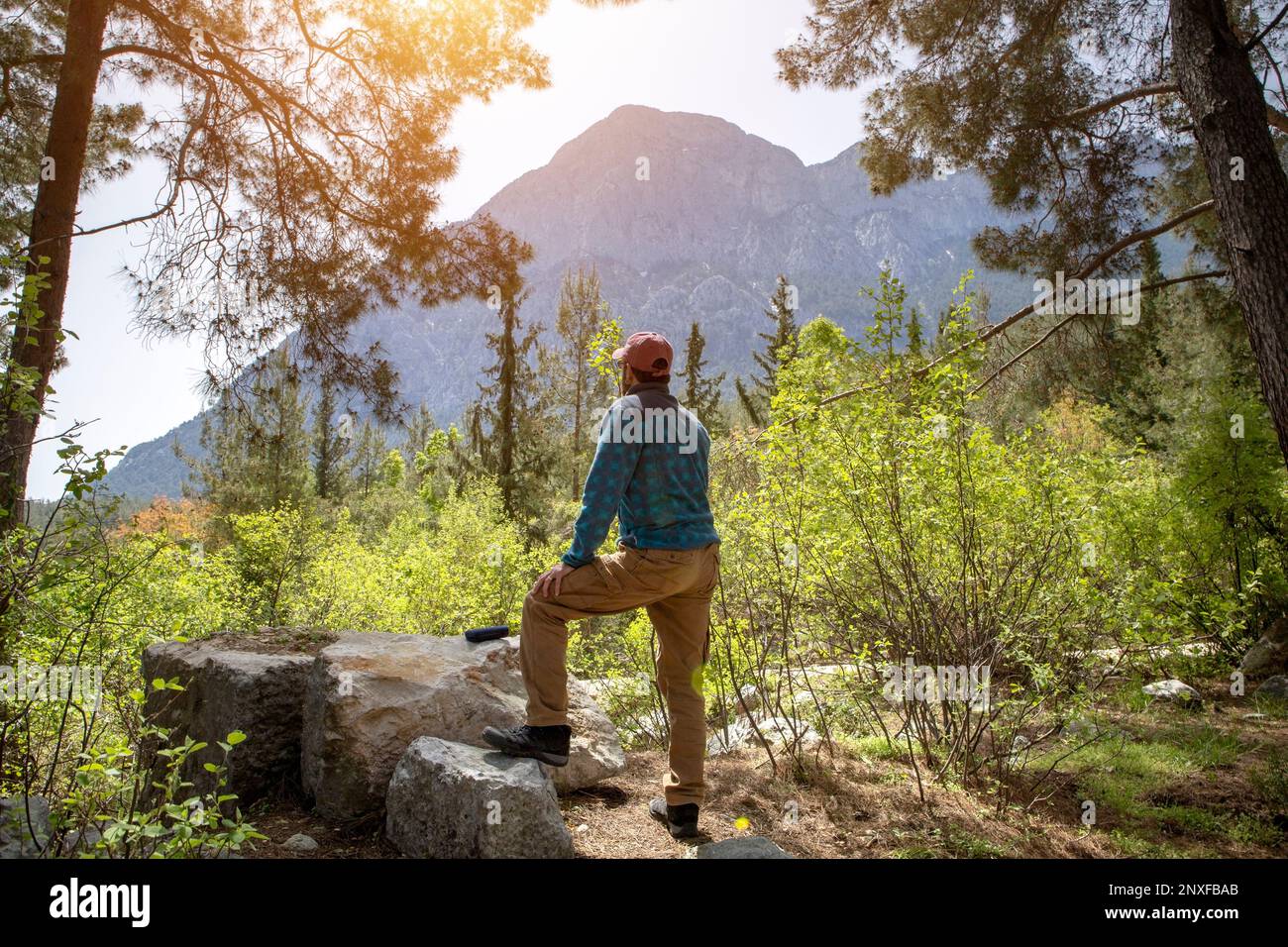 Waldwanderung und Camping-Abenteuer Stockfoto