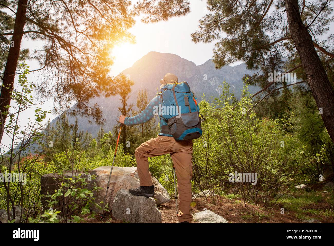 Waldwanderung und Camping-Abenteuer Stockfoto