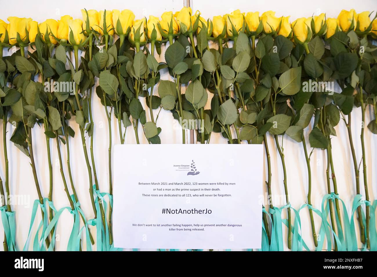 Gelbe Rosen werden in Westminster, London, auf einen Tisch gelegt, um eine Kampagne gegen Robert Brown zu starten. Bilddatum: Mittwoch, 1. März 2023. Stockfoto