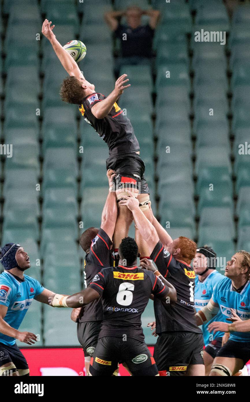 SYDNEY, NSW - FEBRUARY 24: Stormers player Kobus Van Dyk (7) goes up for the ball at round 2 of the Super Rugby between The Waratahs and Stormers at Allianz Stadium in Sydney on February 24, 2018. (Photo by Steven Markham/Icon Sportswire) (Icon Sportswire via AP Images) Stockfoto