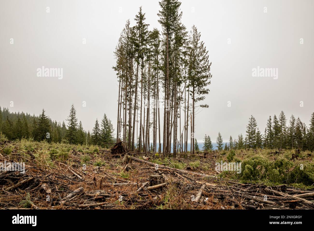Dnr land Fotos und Bildmaterial in hoher Auflösung Alamy
