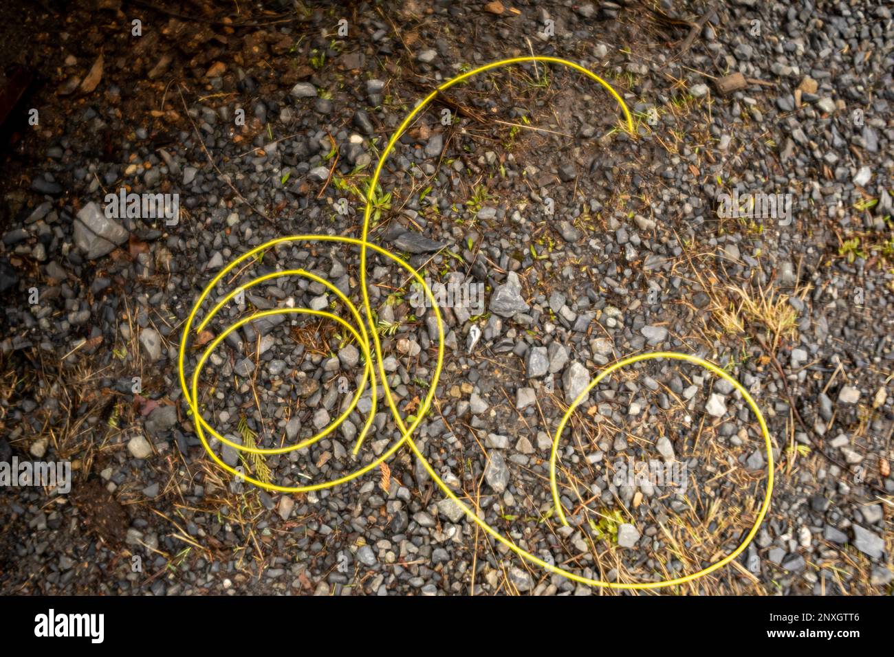 WA23142-00... WASHINGTON - Weed-wacker-Seil links auf dem Boden neben einem Bagger in einer Freischneidung auf DNR-Land. Fotografiert mit einem Lensbaby Velvet 28. Stockfoto