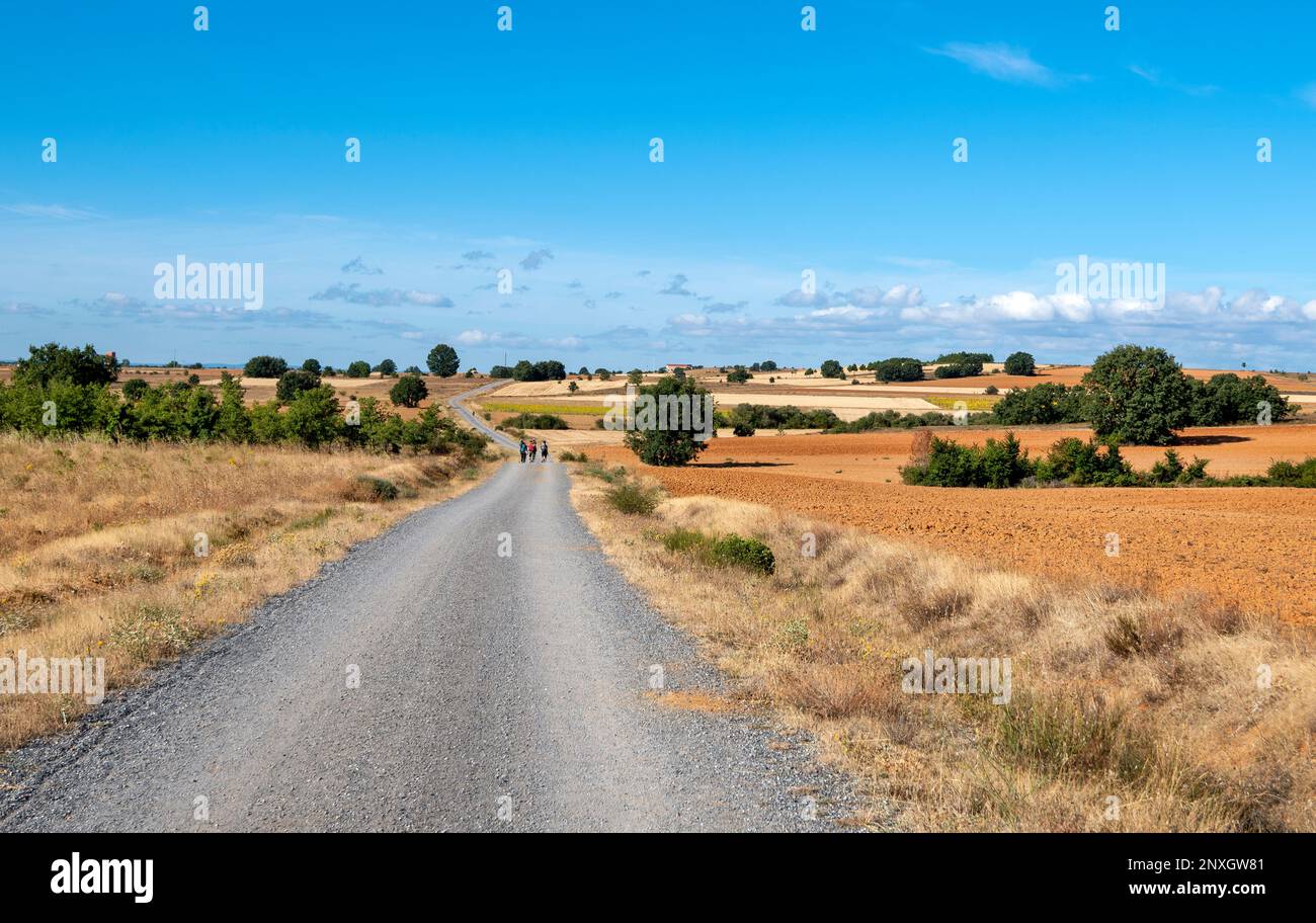 Pilger, die durch die trockene Baronlandschaft auf dem Jakobsweg wandern, dem französischen Weg im Norden Spaniens Stockfoto