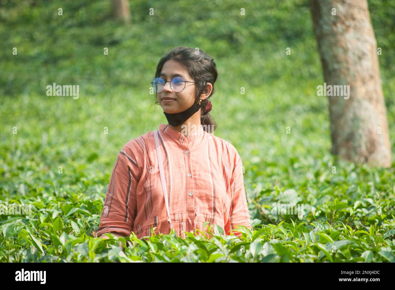 Foto von Bangladescher Frau und Mädchen in einem Teegarten in Sylhet, Bangladesch. Stockfoto