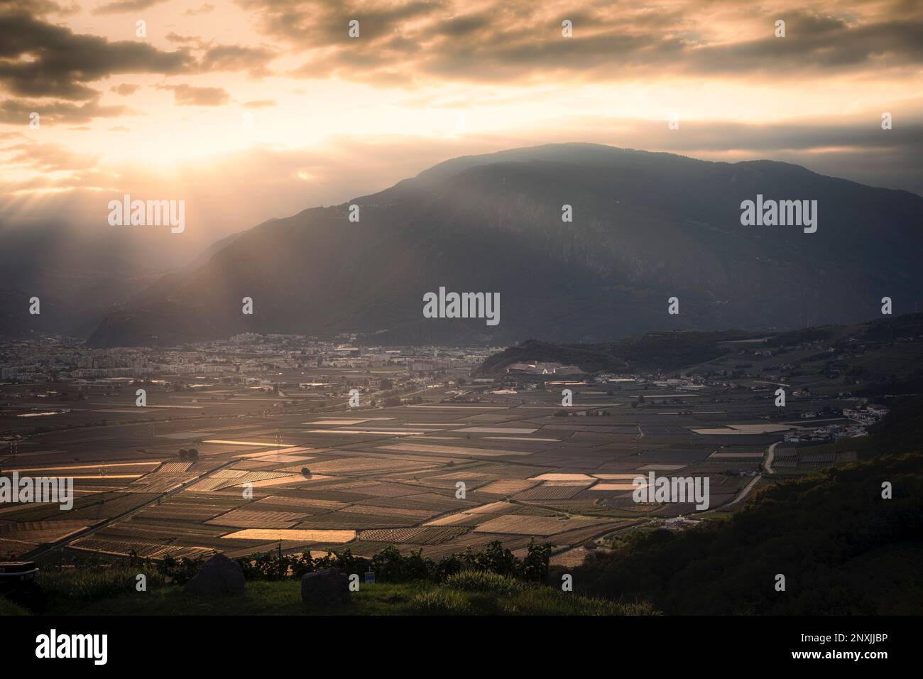 Landwirtschaftliche Felder füllen das Bergtal am Stadtrand von Bozen, Italien. Stockfoto