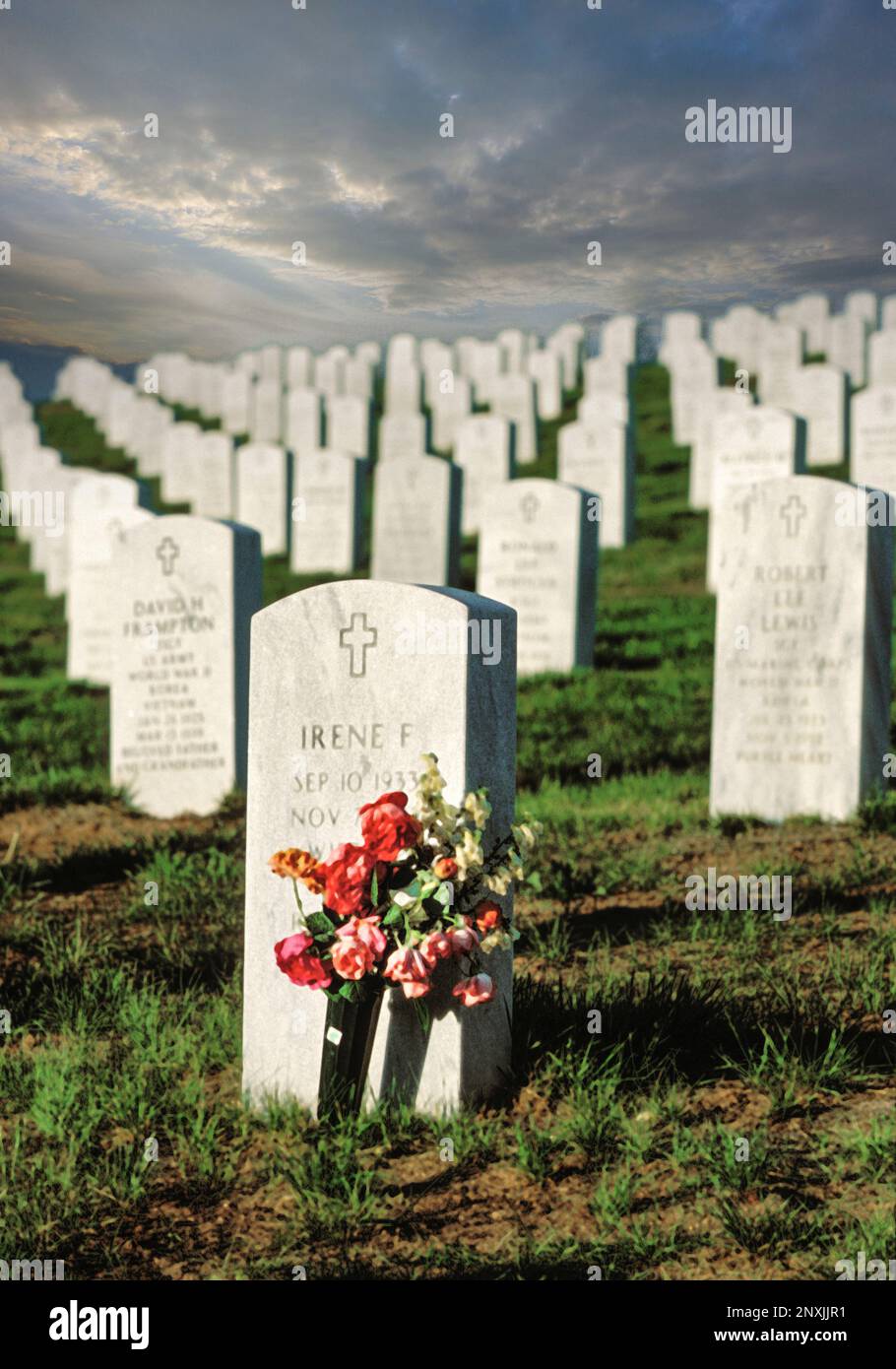 Grabsteine in perfekter Ordnung auf dem Veteranenfriedhof in Santa Fe, New Mexico. Stockfoto