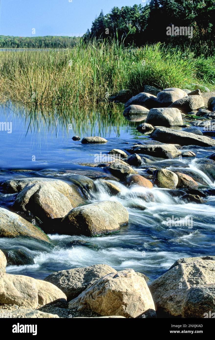 Der Mississippi River beginnt mit dem Wasser, das aus dem Itaska State Park in Minnesota, USA, über kleine Felsen fließt. Stockfoto